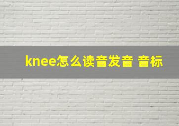 knee怎么读音发音 音标